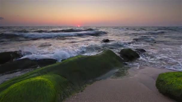 Βράχια Στο Sunrise Video Όμορφο Καλοκαιρινό Πρωί Θέα Της Ακτής — Αρχείο Βίντεο