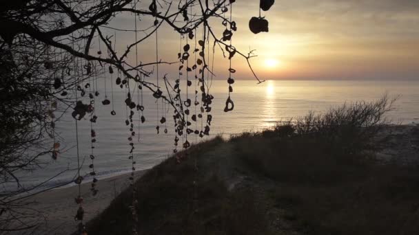 Video Beautiful Morning View Black Sea Coast Silhouettes Strings Seashells — Stock Video