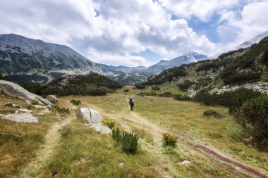 Bir adamın yaz dağda hiking bir sırt çantası ile arkadan görünüş