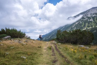 Bir adamın yaz dağda hiking bir sırt çantası ile arkadan görünüş