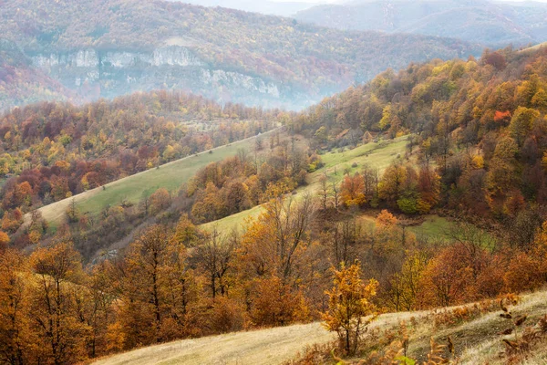 Erstaunliche Herbst Blick Auf Eine Bergwiese Mit Bunten Wald — Stockfoto