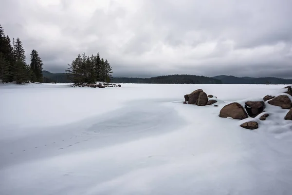 Vista Helada Con Bosque Invierno Lago Congelado Las Montañas Rhodopi —  Fotos de Stock