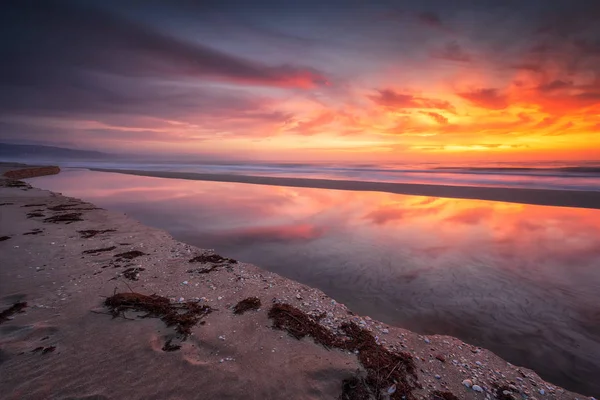 На берегу моря на рассвете — стоковое фото