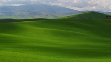 Pienza yakınlarındaki Toskana yeşil bahar alanları ve tepelerin güzel bir sabah görünümü ile Video