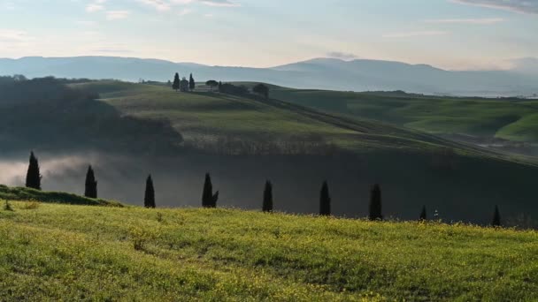 Video Mit Wunderschönem Morgenblick Auf Die Grünen Frühlingsfelder Der Toskana — Stockvideo