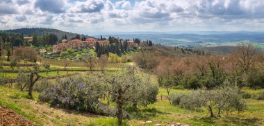 Tuscany'de bahar
