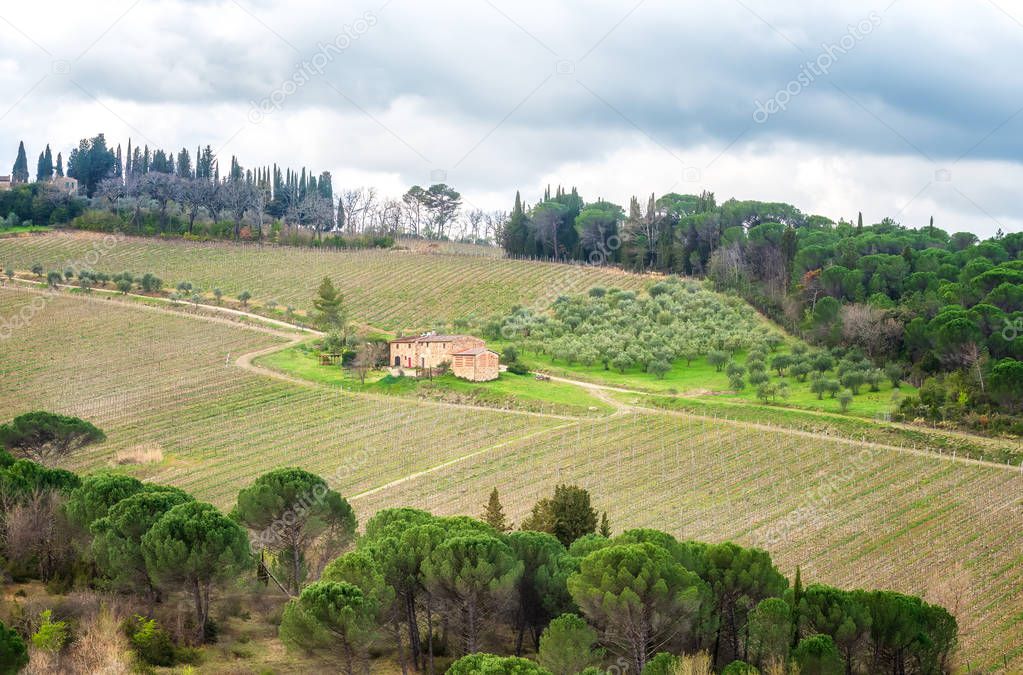 Amazing Tuscany landscape with green rolling hills, olive trees, vineyards and farm houses