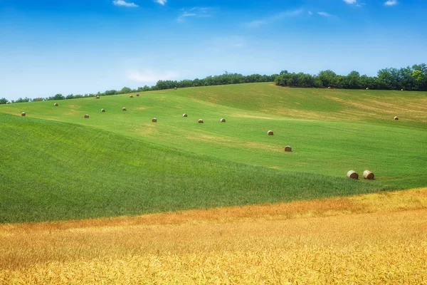 Fondo de ondas terrestres en Moravia del Sur — Foto de Stock