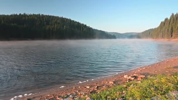 Video Med Vacker Sommarmorgon Utsikt Från Den Pittoreska Kusten Beglik — Stockvideo