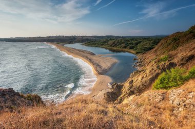 Sabahları vahşi kumsalda