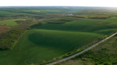 Baharda gün batımından bir saat önce yeşil buğday tarlaları ve ormanlar üzerinde uçan hava videosu..