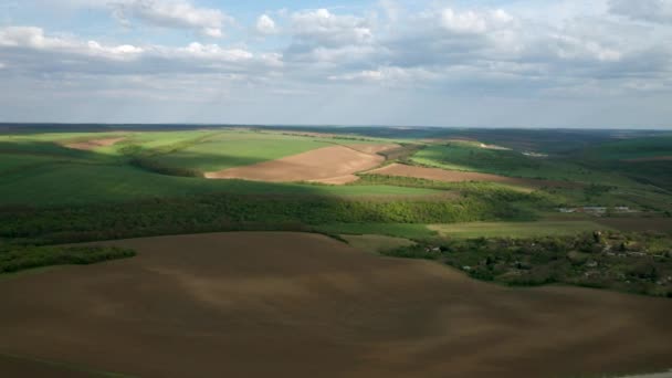 Luftbild Das Frühling Über Grüne Weizenfelder Und Wälder Fliegt — Stockvideo