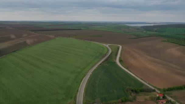 春に緑の小麦畑や森林を飛行する空中ビデオ農業風景背景 — ストック動画