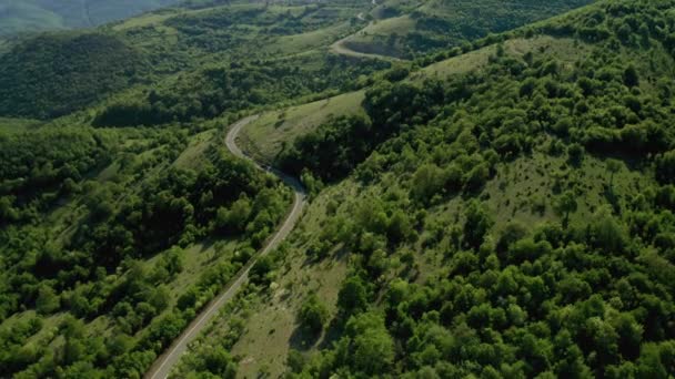 Luftaufnahmen Fliegen Über Grüne Wiesen Wälder Und Hügel Die Frühling — Stockvideo