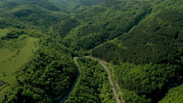 Vídeo Aéreo Volando Sobre Verdes Prados Bosques Colinas Cubiertas Exuberante — Vídeos de Stock