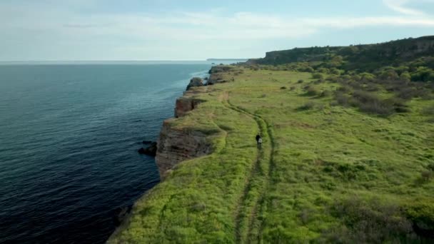 Anne Kızının Yeşil Tarlaları Ağaçları Olan Kayalık Kıyılarda Yürüdüğü Panoramik — Stok video