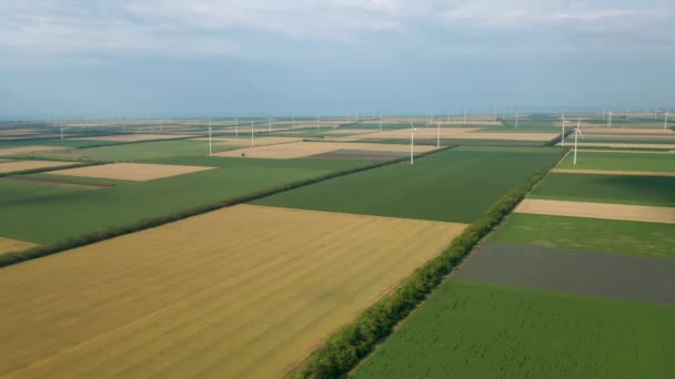 Luchtvlieg Rond Windturbines Door Het Voorjaar Landbouwveld Schoon Hernieuwbare Windmolenpark — Stockvideo