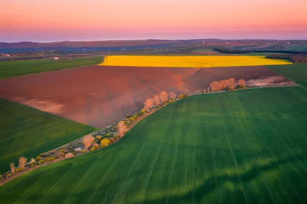 Aerial View Beautiful Countryside Green Yellow Spring Fields Blossoming Rapeseed — Stock Photo, Image