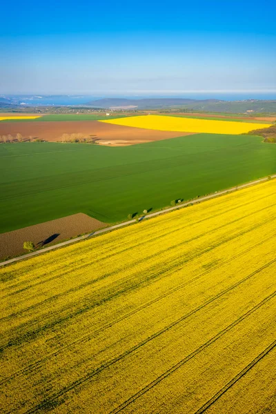 夕日の前に黄金の時間で菜種や小麦と黄色と緑のフィールドと美しい田園地帯の空中ビュー — ストック写真