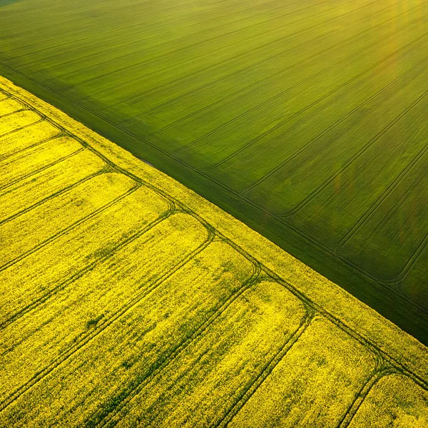 Vista Aérea Uma Bela Área Rural Com Campos Amarelos Verdes — Fotografia de Stock