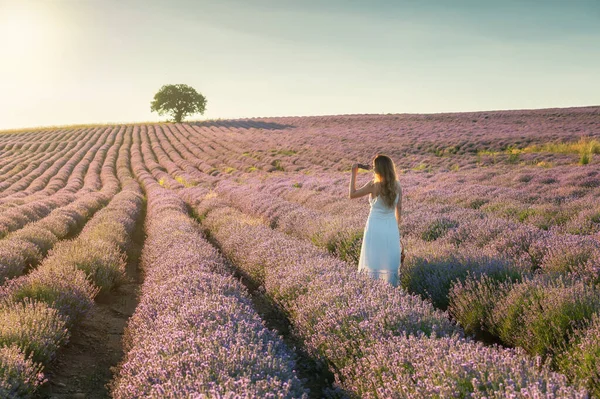Beyaz elbiseli bir kadın, gün batımından önce altın saat çiçek açan lavanta tarlaları arasında dikiliyordu.