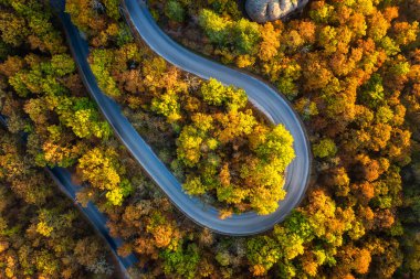 Kıvrımlı kır yolu olan renkli sonbahar ormanı üzerindeki hava manzarası