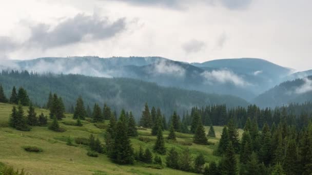 Time Lapse Playful Fast Moving Morning Mists Tree Covered Mountain — Stock Video