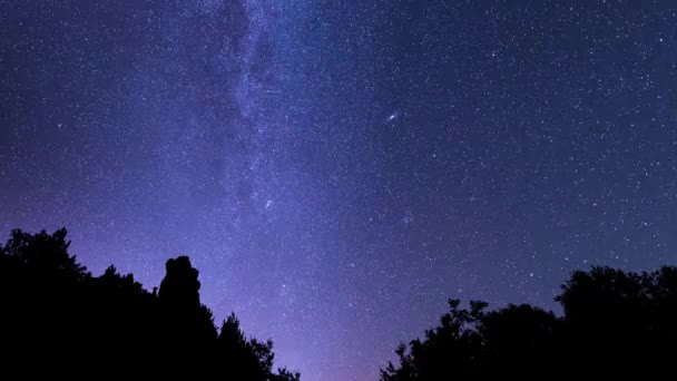 在英仙座流经一片森林的过程中 银河系 航迹和流星雨都在不知不觉中消失得无影无踪 — 图库视频影像