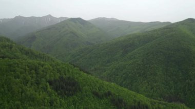 Ağaçlarla kaplı yeşil yamaçlar ve bunlara yuva yapmış evler, Balkan Dağları ve Bulgaristan üzerindeki insansız hava aracı uçuşları