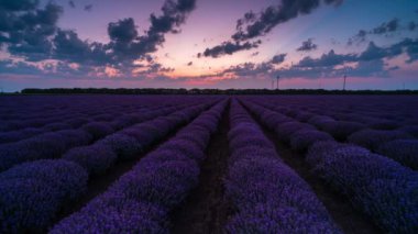 Günden geceye inanılmaz bir hızla ilerleyen bulutlar ve yükselen güneşle güzel bir lavanta tarlası üzerinde