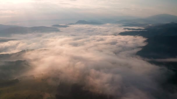 保加利亚罗得波山脉 日出时分 无人机在低云和晨雾中飞行 覆盖着山坡 — 图库视频影像