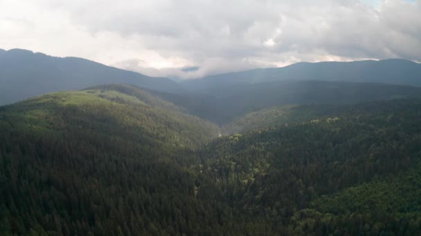 Voo Drones Acima Encostas Verdes Cobertas Árvores Nas Montanhas Rhodope — Vídeo de Stock