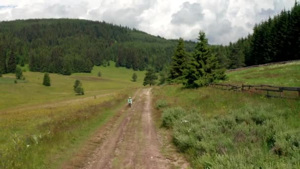 Video Liten Flicka Promenader Skogsstig Som Passerar Genom Pittoresk Sommar — Stockvideo