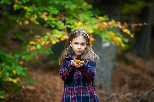 可爱的小女孩欣赏着秋天森林的美丽 那里的树叶五彩斑斓 秋天的心情 — 图库照片