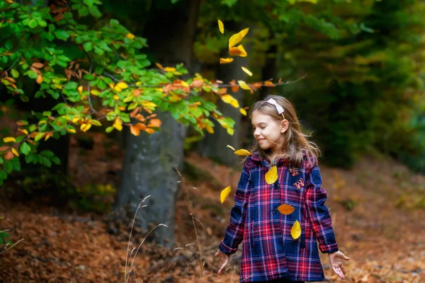 Niña Encantadora Disfruta Belleza Bosque Otoño Jugando Con Hojas Colores —  Fotos de Stock