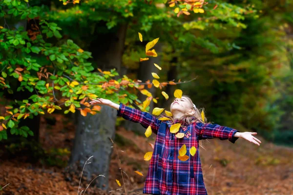 Güzel Küçük Kız Renkli Yapraklarla Oynayan Bir Sonbahar Ormanının Güzelliğinin — Stok fotoğraf