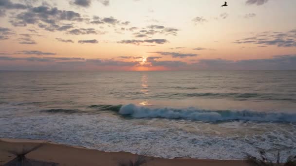 ビデオともにわらの日陰と日の出の空の砂浜のベッド — ストック動画