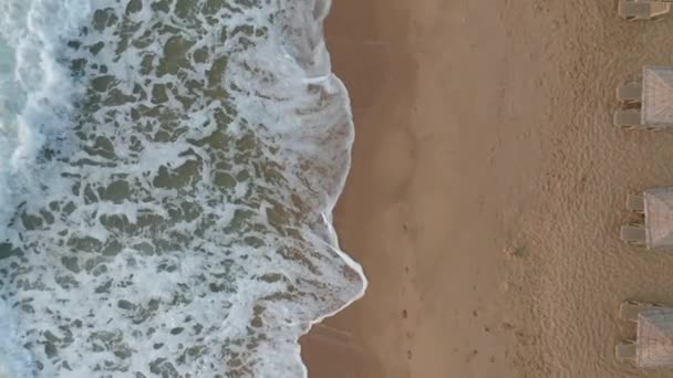 Vídeo Sobre Uma Bela Praia Vazia Areia Com Canudos Espreguiçadeiras — Vídeo de Stock