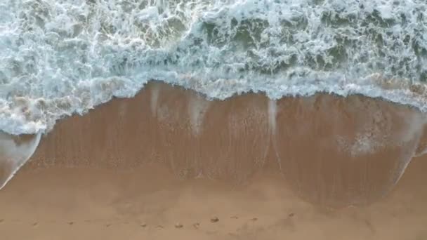 Vídeo Sobre Uma Bela Praia Vazia Areia Com Canudos Espreguiçadeiras — Vídeo de Stock