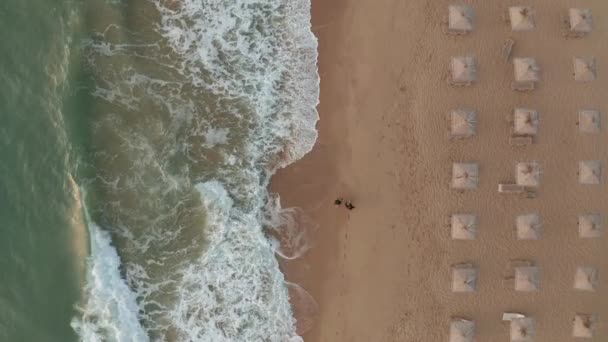 素晴らしい波の海 黒海沿岸 ブルガリアに沿ってわらの日影とサンベッドと空の砂浜を歩く人々の頭上のビュー — ストック動画