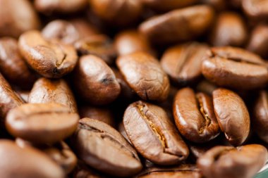 Taze çekilmiş kahve çekirdekleri tahıl dolu kahve bitkisinin meyveile kavrulmuş.