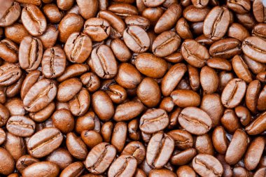 Taze çekilmiş kahve çekirdekleri tahıl dolu kahve bitkisinin meyveile kavrulmuş.