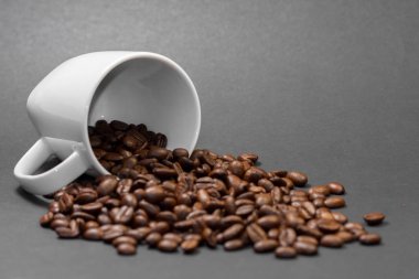 Siyah arka plan ile kahve bitkisi meyveile taze çekilmiş kavrulmuş kahve çekirdekleri.