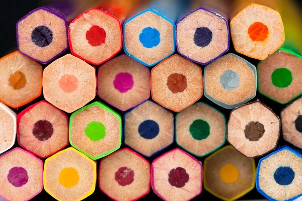 Wooden pencils in all colors seen from the base of the pencils. Colors. Back to school, education.