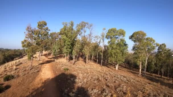 Drone Ların Görüntülerinin Havadan Görünümü Gün Batımının Yumuşak Işığında Ormanlar — Stok video