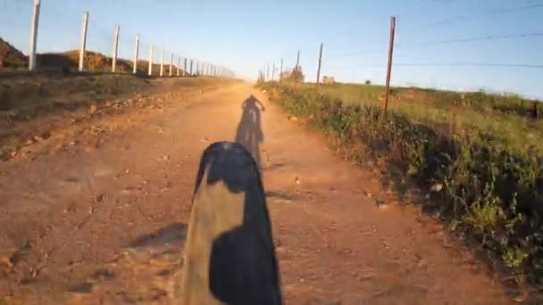 Ultra Ciclismo Camino Tierra Con Árboles Plantas Alrededor Panorámica Natural — Vídeo de stock