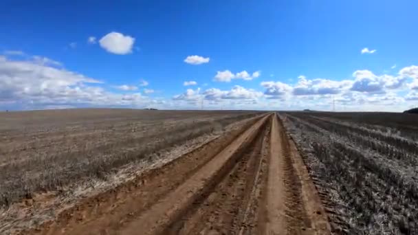 Ultra Andar Bicicleta Uma Estrada Terra Com Árvores Plantas Redor — Vídeo de Stock