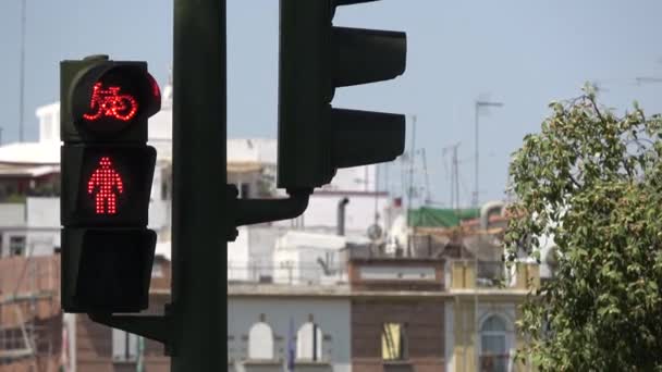Європейська Пішохідний Перехід Показує Рух Місті Севілья Високим Світлофора Червоному — стокове відео