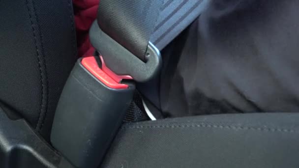 高加索人把安全带系在车上 坐在车内的乘客在等待出发时系着安全带 安全旅行在汽车飞行旅行时很重要 — 图库视频影像