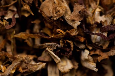 Parçalanmış tütün makro görülen, siyah arka plan üzerinde izole. Tütün hastalıklara neden olabilir.